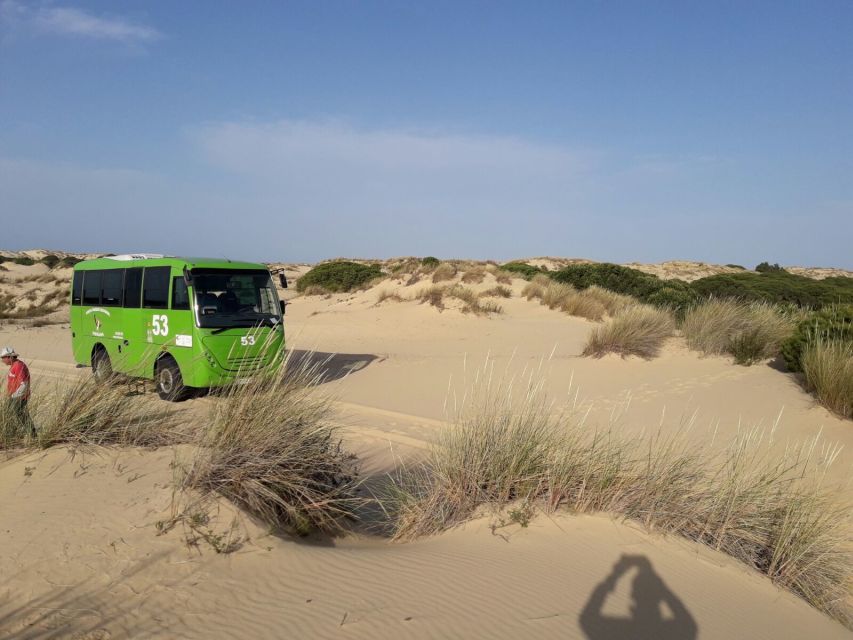 Doñana National Park Off-Road Tour from Seville - Who will enjoy this full-day outing