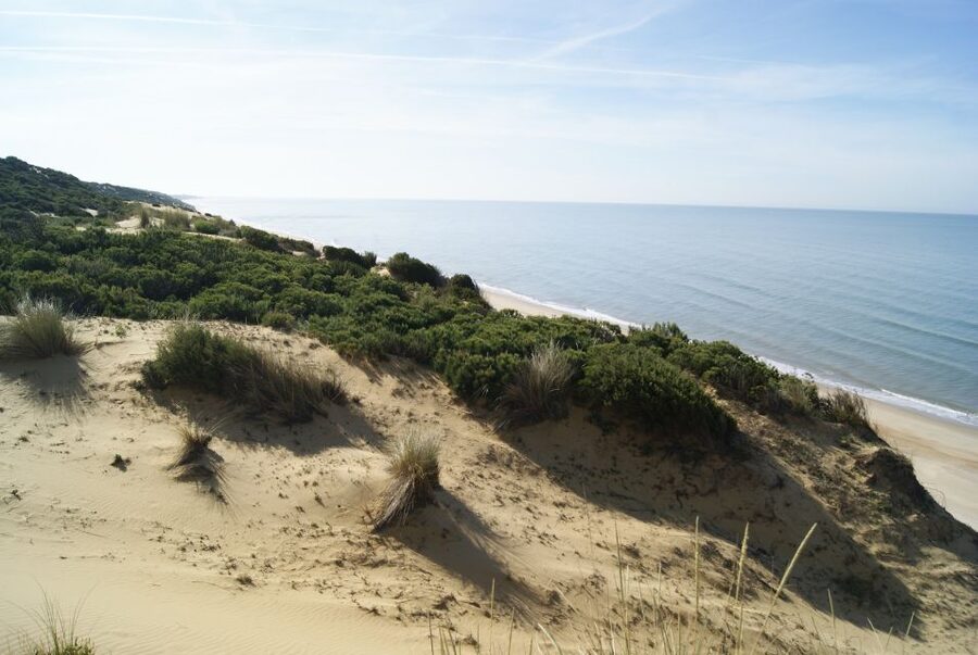 Doñana National Park Off-Road Tour from Seville - Leaving Seville for El Rocío