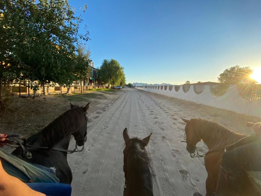El Rocío: Doñana National Park Horseback Riding Tour - Cancellation and practical flexibility