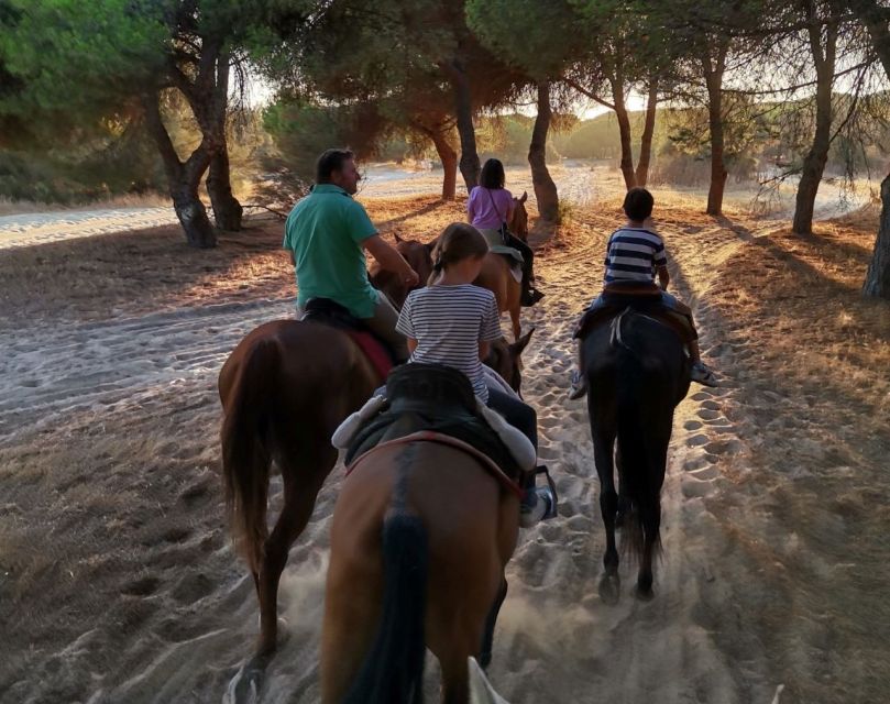 El Rocío: Doñana National Park Horseback Riding Tour - Riding into Doñana National Park