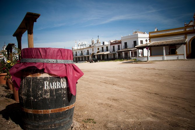 El Rocio, Donana Natural Park and Matalascanas Beach Day Trip from Seville - Transport, group size, and physical demands