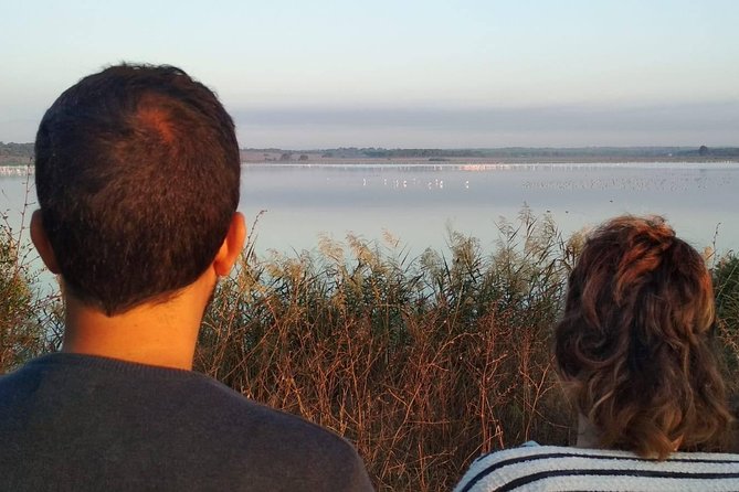El Rocio, Donana Natural Park and Matalascanas Beach Day Trip from Seville - The 4WD route through Doñana
