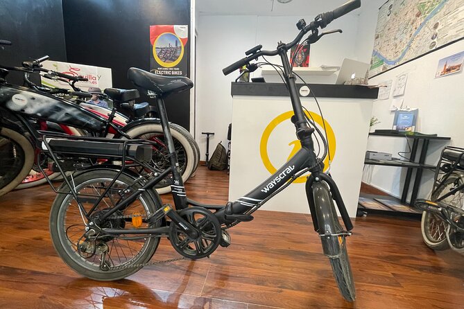 Electric Bicycle Rental in Seville - Choosing between a standard electric bike and a fatbike