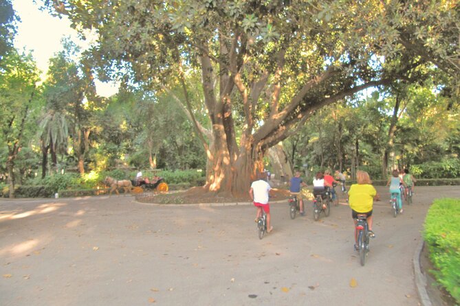 Electric Bike Rental 3 hours - Why an electric bike fits Seville so well