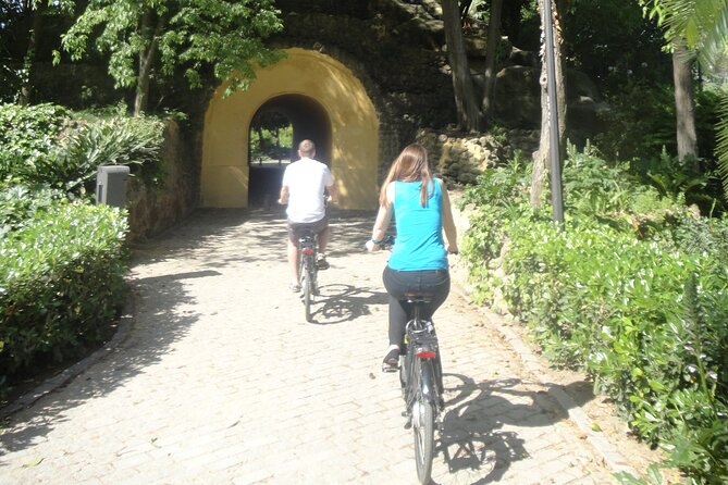 Electric Bike Rental 3 hours - Starting at C. de Castelar 9