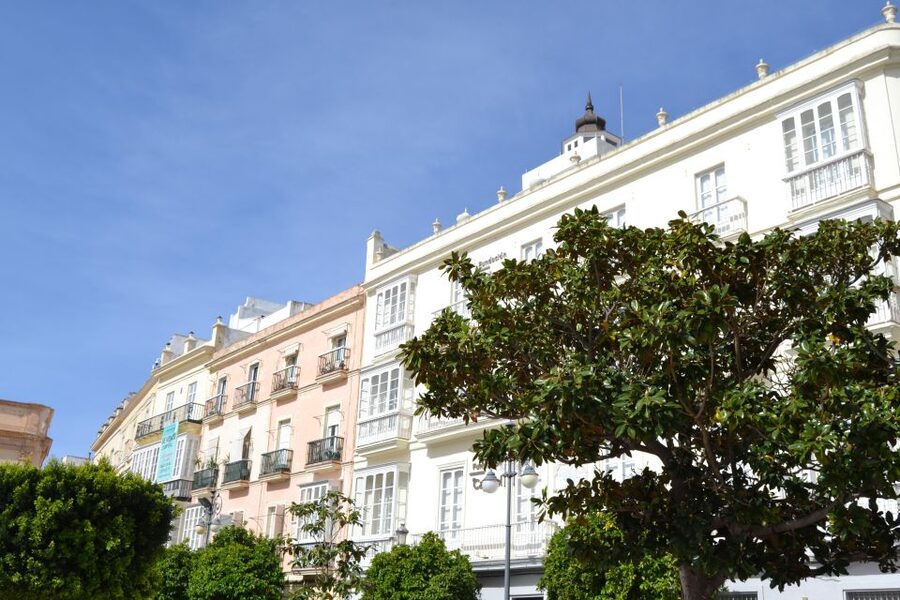 English Cádiz Tour: Walking Tour with Local Guide - The market tips that can change your Cádiz visit