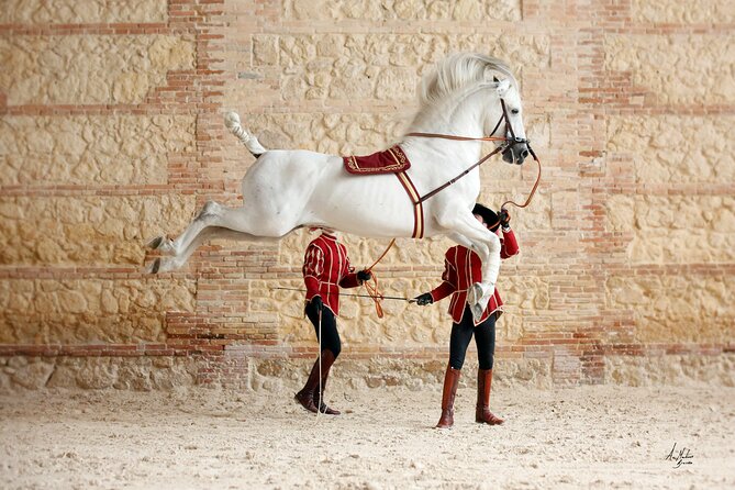 Equestrian Show Royal Stables of Córdoba - Why the Royal Stables make this show special
