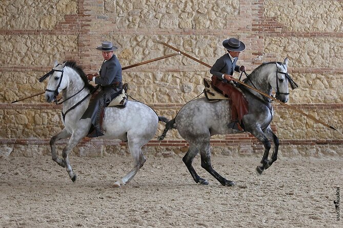 Equestrian Show Royal Stables of Córdoba - Getting there and handling the entrance