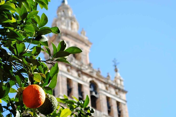 Essential Seville Tour - Inside the Royal Alcázar of Seville