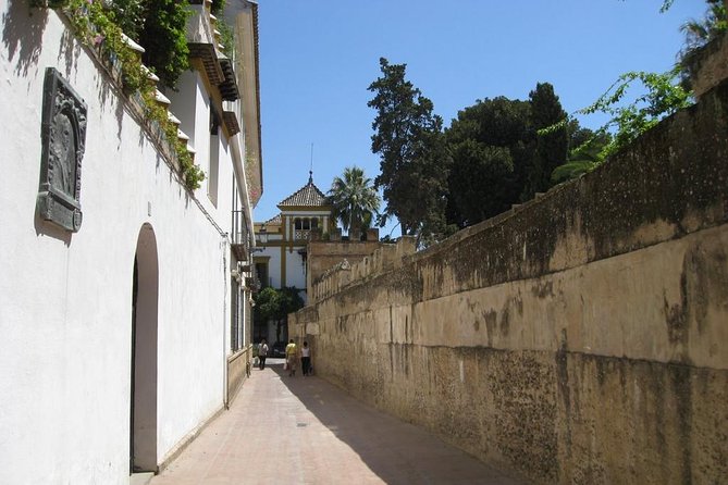 Essential Seville Tour - Three hours, one central meeting point