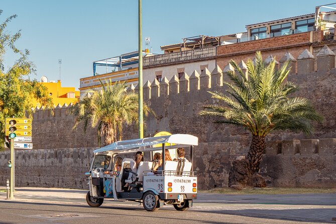 Express Tour of Seville in Private Eco Tuk Tuk - A quick ride that puts Seville in context