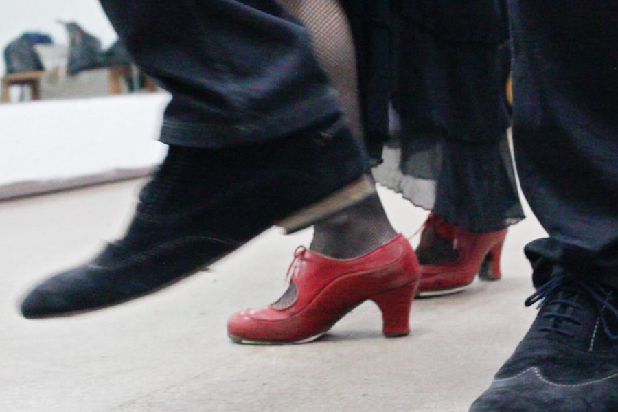 Flamenco Dance Lesson: 60-Minute Class in Seville - Who will enjoy this class most