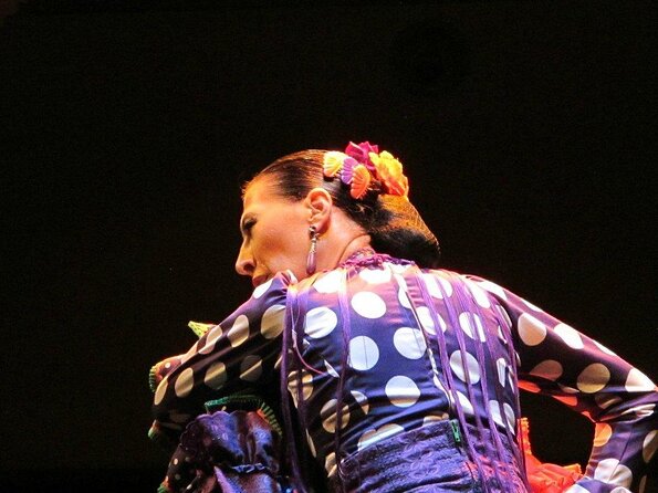 Flamenco Show "Museo de Baile Flamenco" - Key points to know before booking