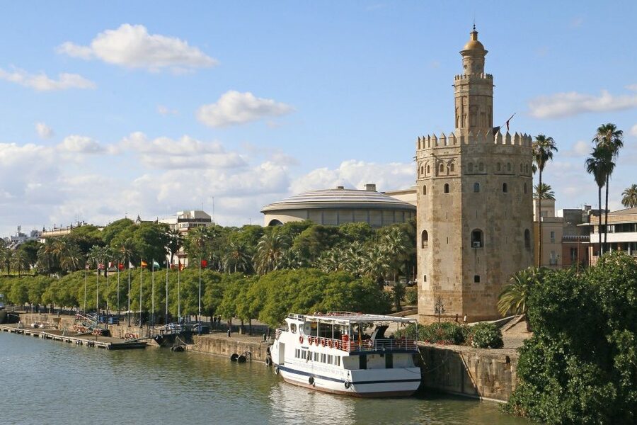 From Cadiz: Private Seville Day Trip, Cathedral & Alcazar - The Giralda Tower and the optional climb