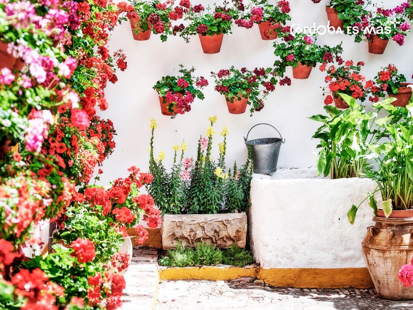 From Costa del Sol: Day Trip to Cordoba Free Time - Who will get the most from this day trip?