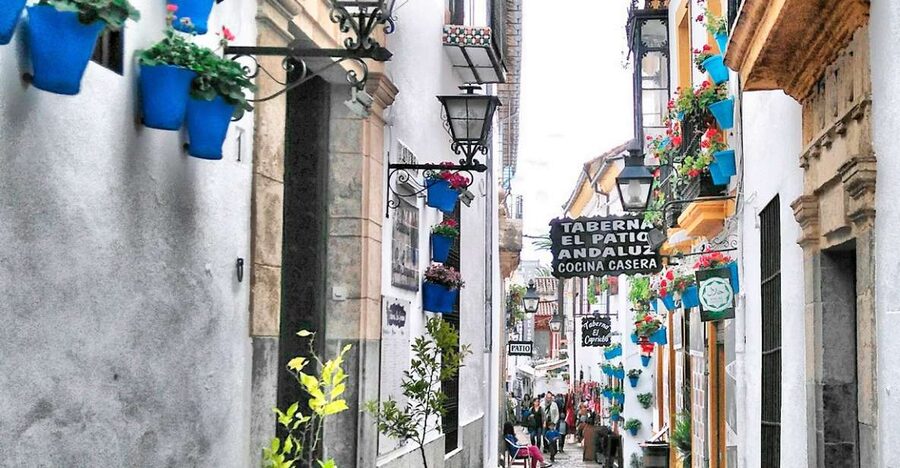 From Costa del Sol: Day Trip to Cordoba Free Time - The Jewish Quarter and Córdoba’s narrow lanes