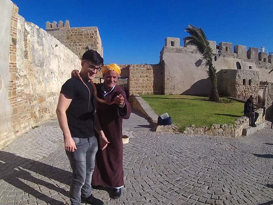 From Jerez: Day Trip to Tangier with Ferry & Lunch - Who will enjoy this day most?
