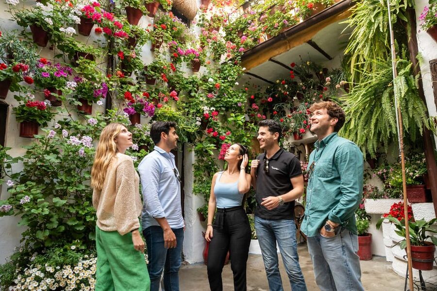 From Madrid: Córdoba Private Day Tour by High-Speed Train - Why the high-speed train changes the day