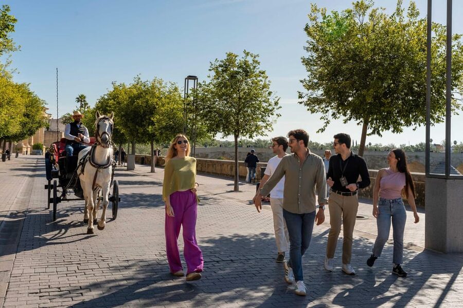From Madrid: Córdoba Private Day Tour by High-Speed Train - What the $506 price really covers