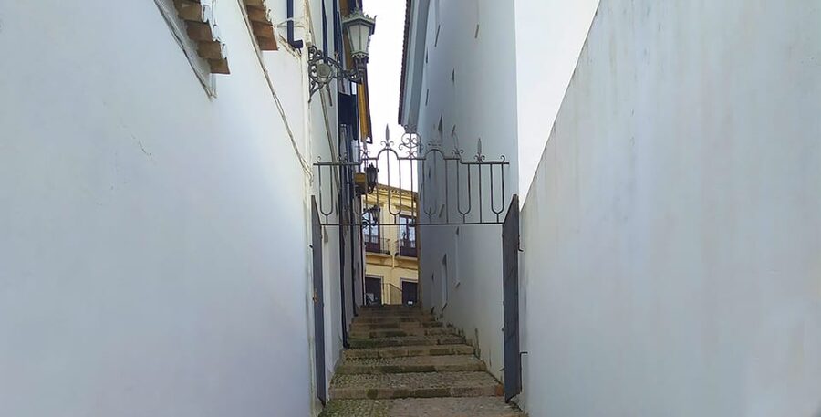 From Malaga: Ronda and Setenil Tour with Scenic Train - Who should book this day trip?