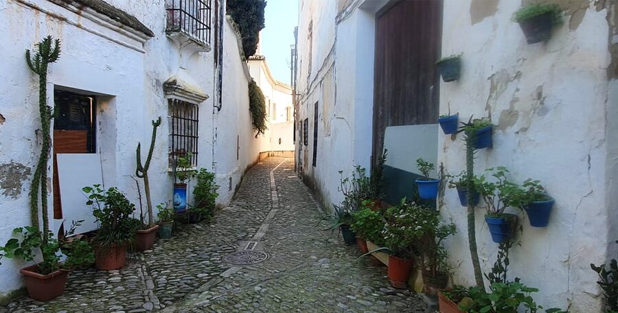 From Malaga: Ronda and Setenil Tour with Scenic Train - Choosing the two-hour guided walk