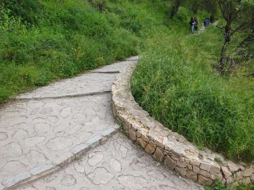 From Malaga: Ronda y Setenil de la Bodegas Day Trip by coach - Key points to know before booking