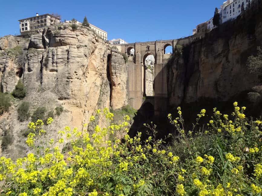 From Malaga: Ronda y Setenil de la Bodegas Day Trip by coach - What the guides add to the day