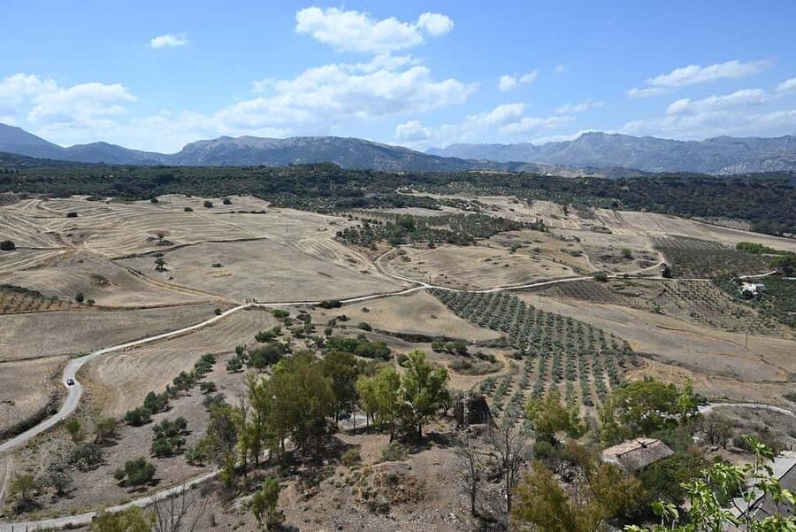 From Malaga: Ronda y Setenil de la Bodegas Day Trip by coach - Ronda and the gorge below Puente Nuevo
