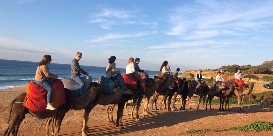 From Sevilla: Private Tangier Tour - Who will enjoy this Tangier day trip most