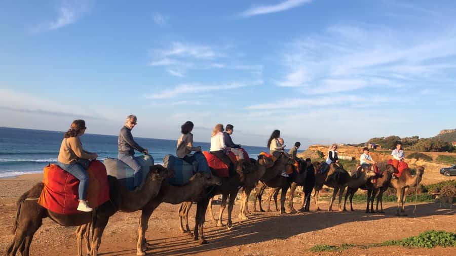 From Sevilla: Private Tangier Tour - Should you book this private Tangier tour?
