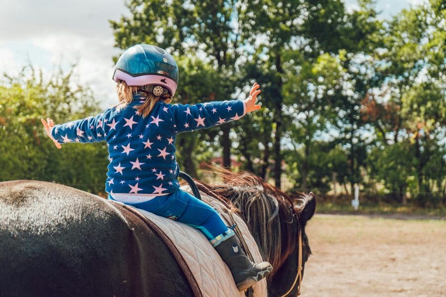 From Seville: Andalusian Horseback Ride - Key points to know before you ride
