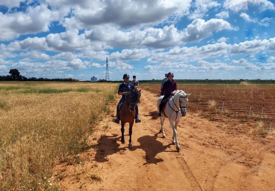 From Seville: Andalusian Horseback Ride - Leaving Seville for the pine forests near Bollullos