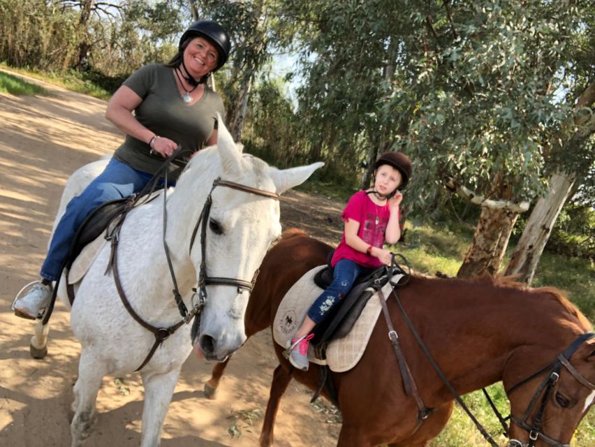 From Seville: Andalusian Horseback Ride - The ranch experience beyond the trail