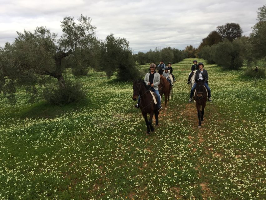 From Seville: Andalusian Horseback Ride - Safety, age, and riding ability