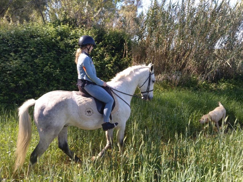 From Seville: Andalusian Horseback Ride - What the $164 price includes