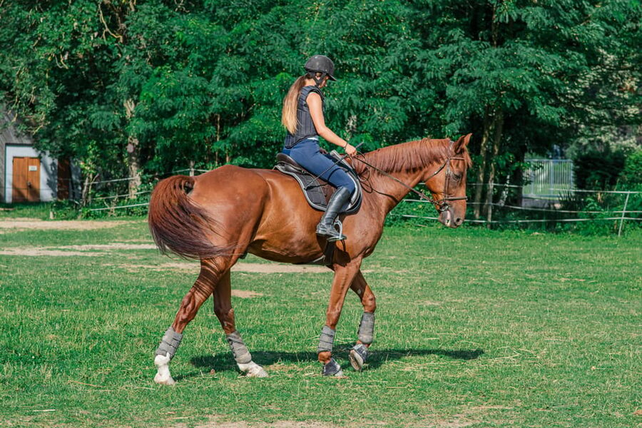 From Seville: Andalusian Horseback Ride - The points I would check before booking