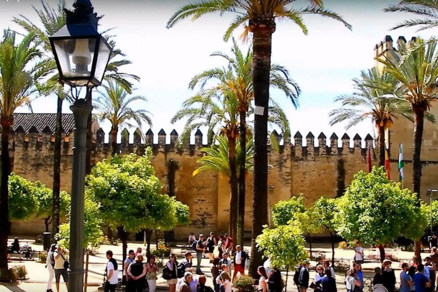 From Seville: Córdoba and Mosque Cathedral Full-Day Tour - Who should book this Córdoba tour?