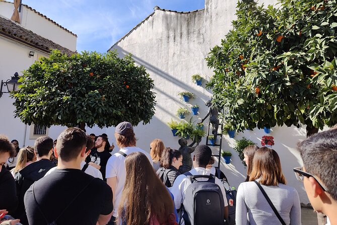 From Seville: Cordoba and Mosque-Cathedral Skip the Line - The Alcázar, Roman Bridge, and other possible stops