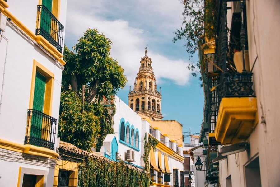 From Seville: Cordoba Full-Day Tour with Tickets Included - Who should book this Córdoba tour?