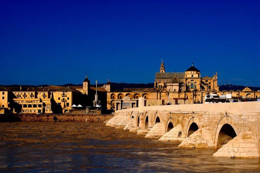 From Seville: Cordoba Full-Day Tour with Tickets Included - Is $123 good value?