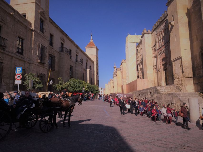 From Seville: Cordoba, the Mosque and Carmona Day Trip - What the guides add