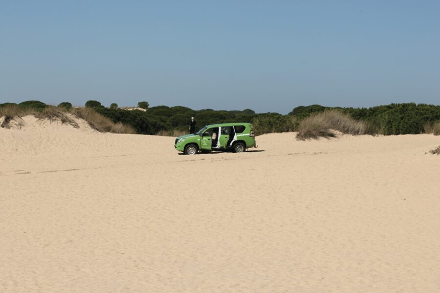 From Seville: Doñana, El Rocio, and Matalascañas Beach Tour - Key points to know before booking