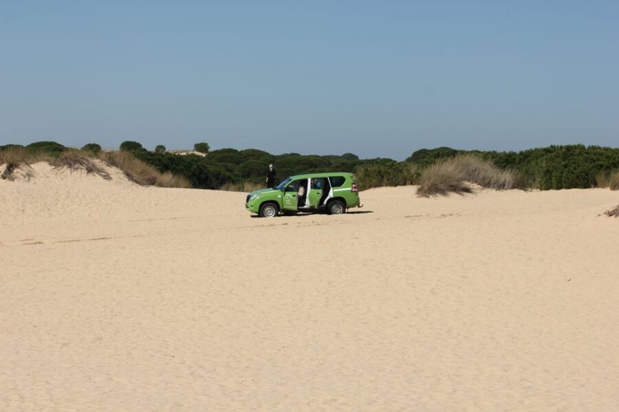From Seville: Doñana, El Rocio, and Matalascañas Beach Tour - How the $132 price works out