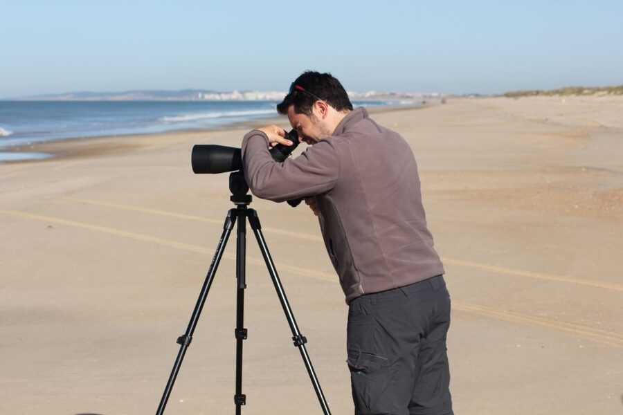 From Seville: Doñana, El Rocio, and Matalascañas Beach Tour - Should you book it?