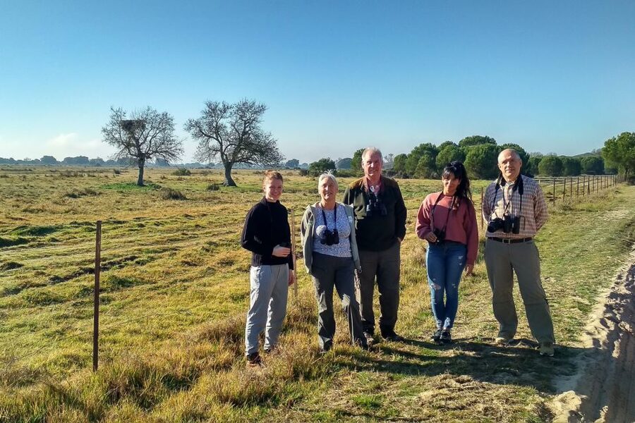 From Seville: Doñana National Park Day Trip - Shared, small-group, or private?