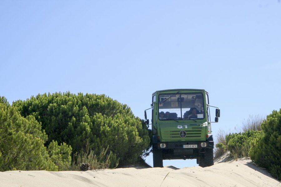 From Seville: Doñana Natural Park, El Rocio and Matalascañas - What the 4WD ride is really like