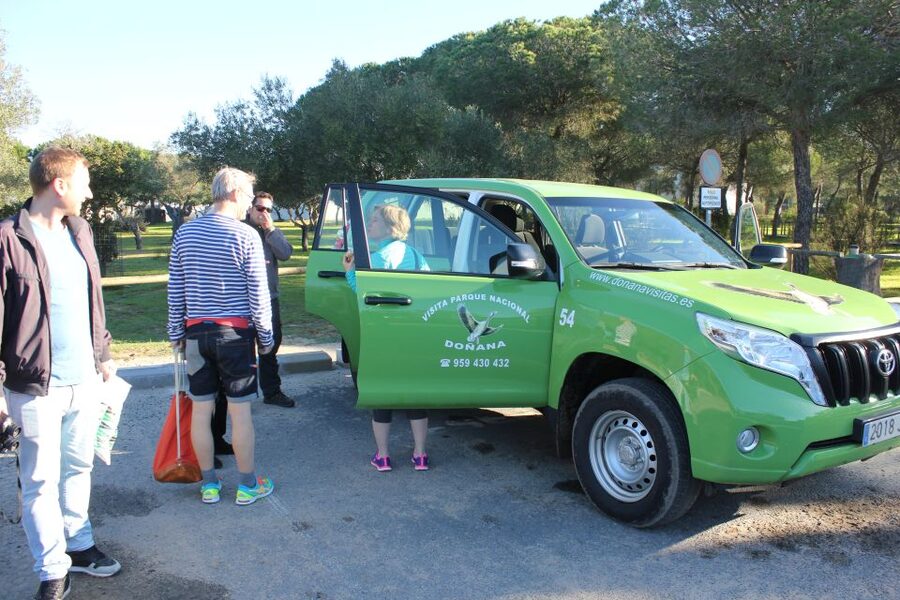 From Seville: Doñana Natural Park, El Rocio and Matalascañas - Practical preparation for a smoother day