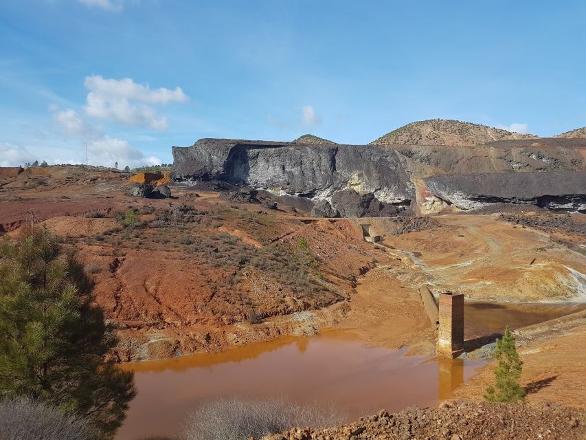 From Seville: Full-Day Aracena & Rio Tinto Mines Tour - Transport, timing, and group size