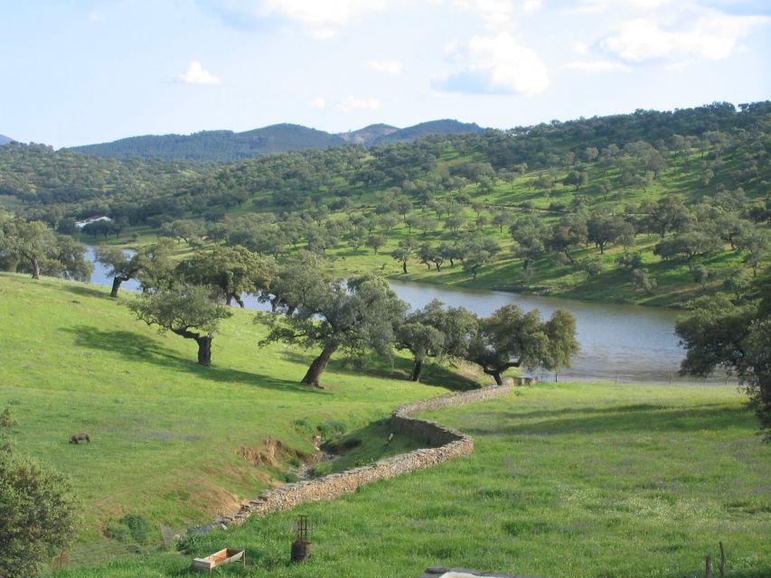 From Seville: Full-Day Aracena & Rio Tinto Mines Tour - Seeing the red river and old mine country