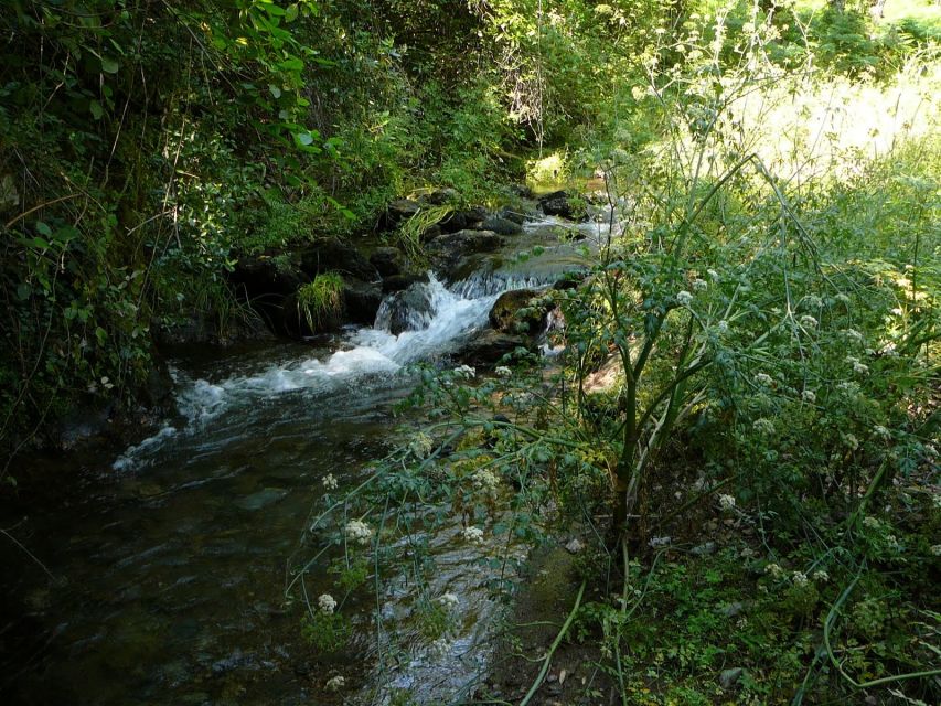 From Seville: Full-Day Aracena & Rio Tinto Mines Tour - Aracena Castle and the choice to climb